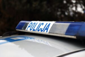 martwe zwierzę zawieszone na drzewie