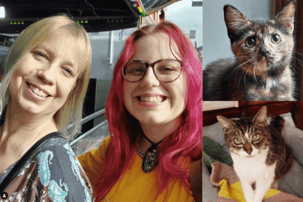 matka-corka-70-kotow