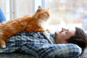 mężczyźni, którzy mają koty