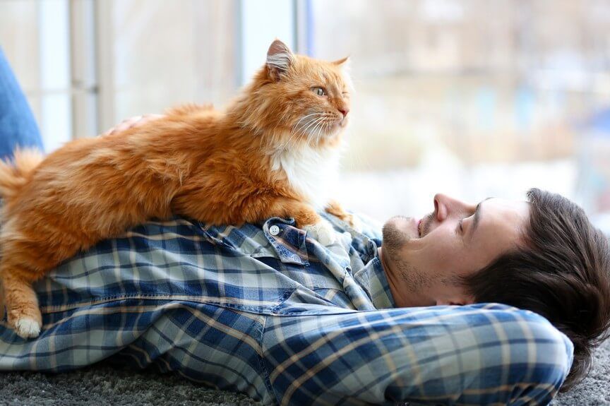 mężczyźni, którzy mają koty