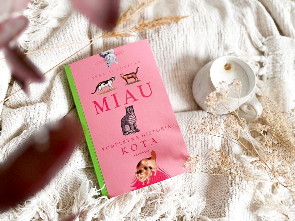 miau kompletna historia kota recenzja