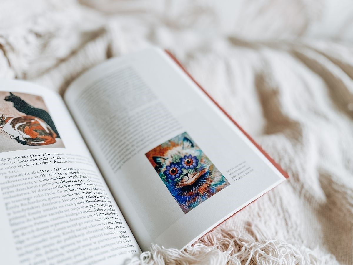 miau kompletna historia kota sztuka