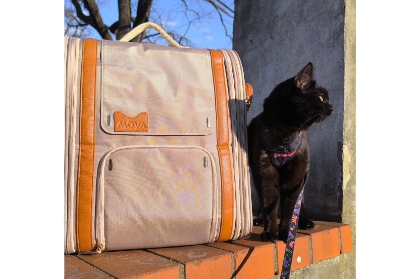 Mova PB10 Pro recenzja opinie