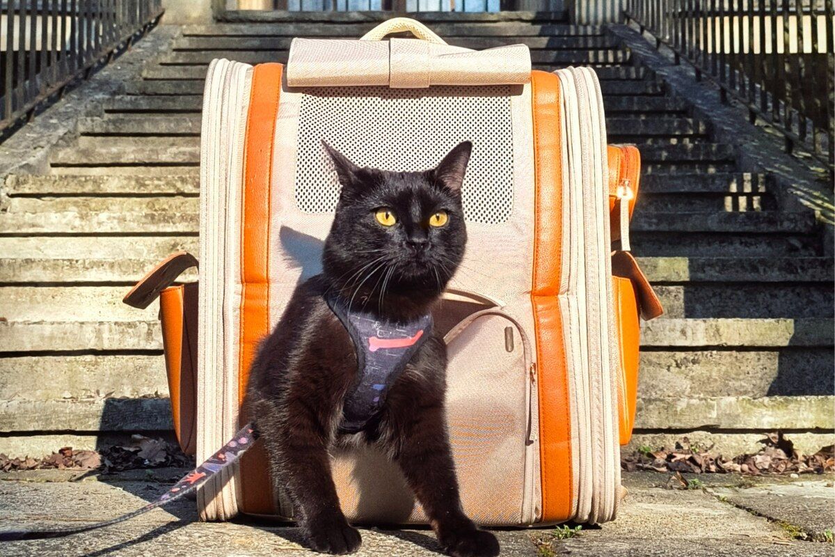 recenzja Mova PB10 Pro