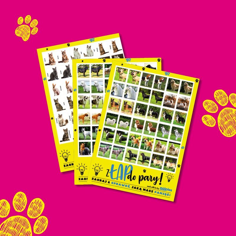 mój pies i kot, karty do gry