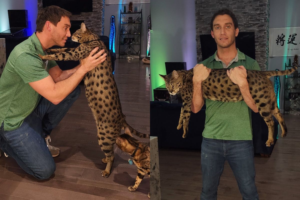 najwyższy kot na świecie 2022 rekord guinnessa