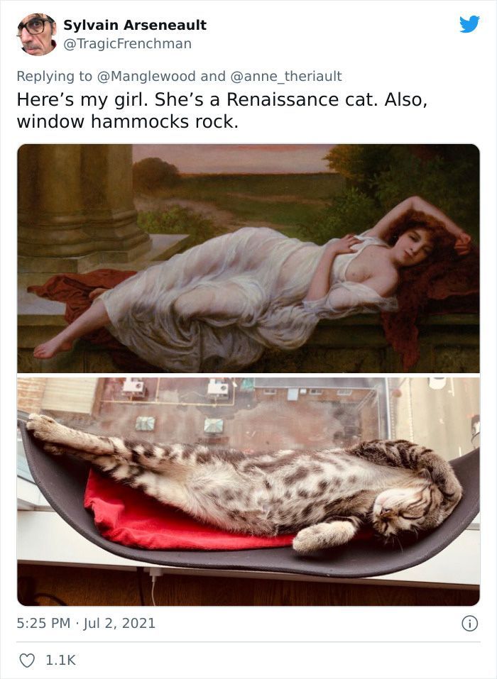 Twitter User Shared 14 Historical Photos Of Cats Chilling In Their Tiny Hammocks Aboard Naval Ships