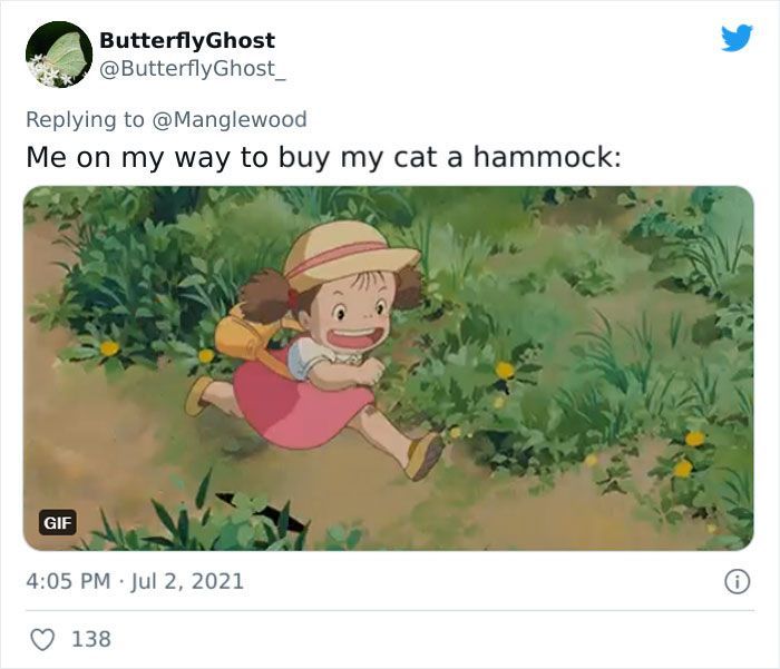 Twitter User Shared 14 Historical Photos Of Cats Chilling In Their Tiny Hammocks Aboard Naval Ships