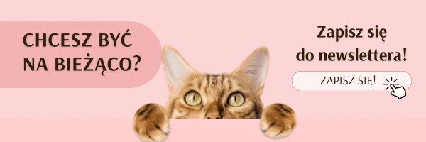 banner koty - newsletter