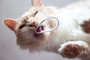 niebezpieczne rzeczy w domu