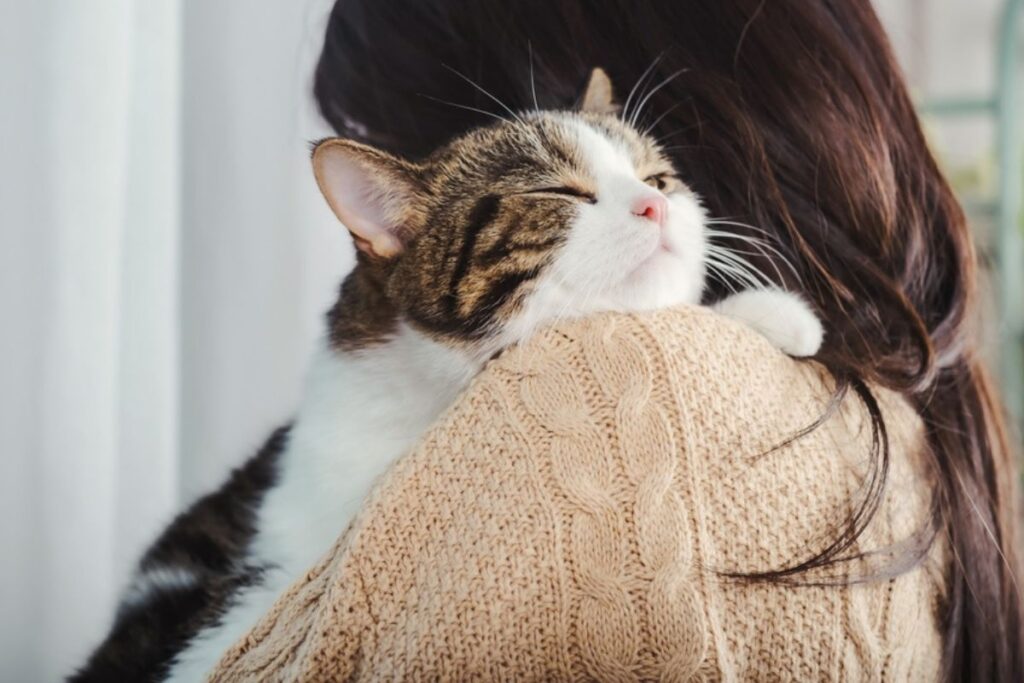 nowy lek ma przedłużyć życie kotów
