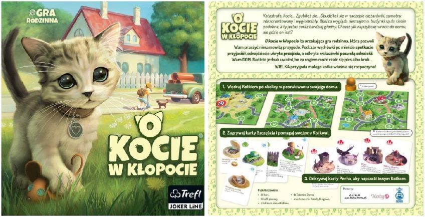 gra dla wielbicieli kotów