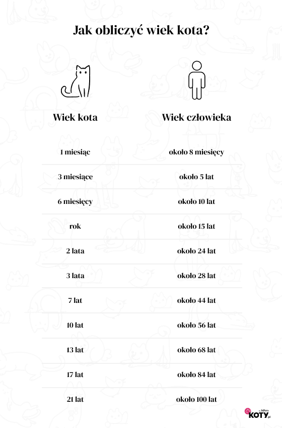 obliczanie wieku kota