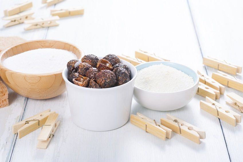 Orzechy piorące to środki czystości bezpieczne dla zwierząt.