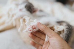 opuszki zmieniają kolor