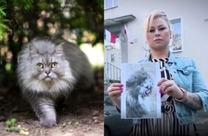 oskarżona o kradzież kota 5 lat więzienia