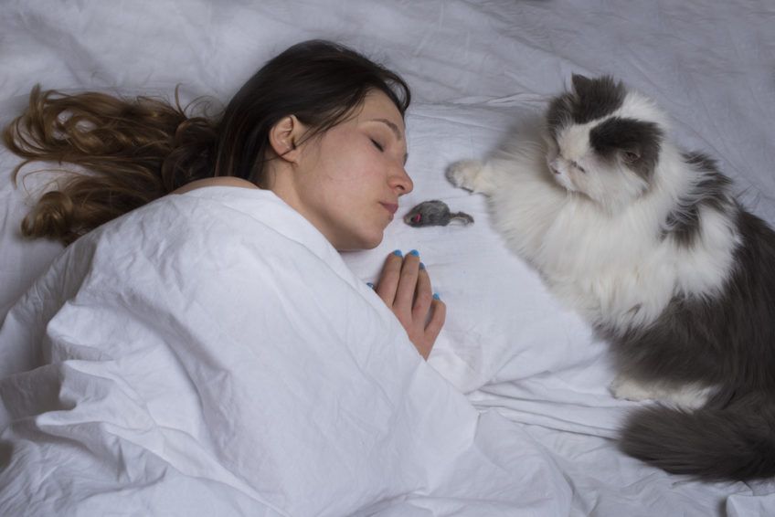 pani śpi z kotem