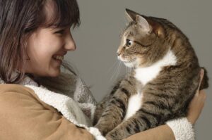 dlaczego warto mieć kota