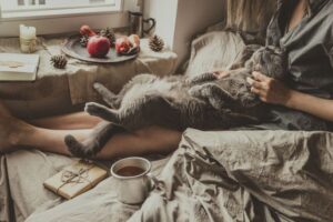 Aromaterapia dla kotów