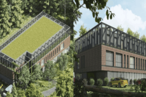 pawilon dla bezdomnych kotów