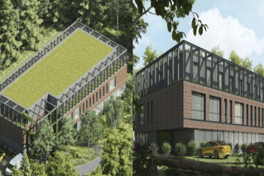 pawilon dla bezdomnych kotów