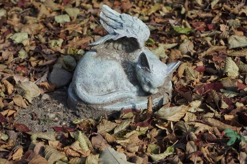 pomnik kota nagrobek