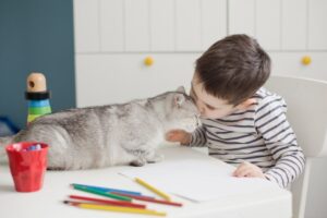 posiadanie kota w dzieciństwie a choroby psychiczne