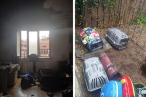 pożar w toruńskiej fundacji kociniec