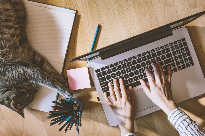 praca w domu z kotem