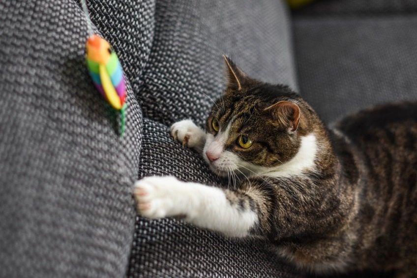 profilaktyka syndromu urologicznego-min.jpg