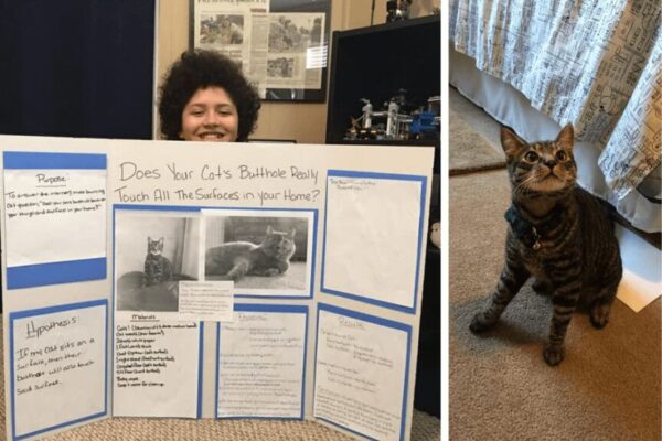 Jakie powierzchnie dotyka kocia pupa