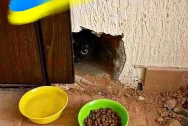 przebili się przez ścianę