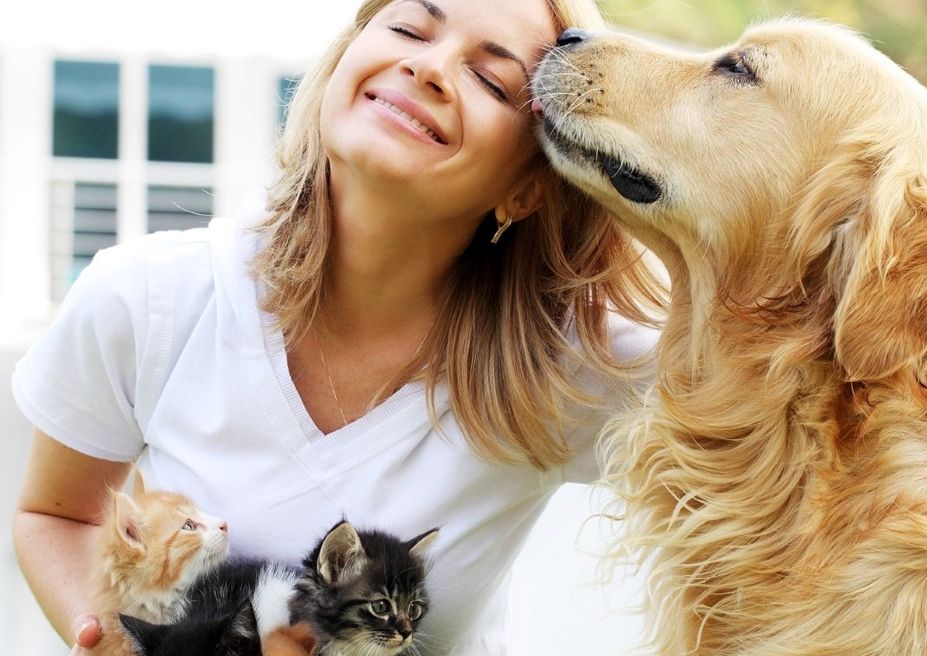 purina bezpłatne teleporady