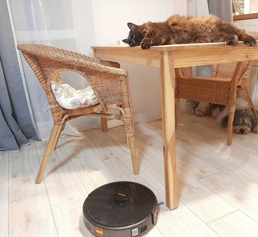 puron pr10 kot na stole