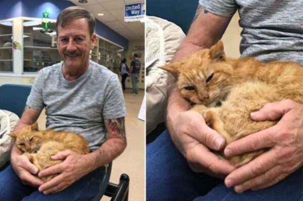 Perry Martin i kot T2