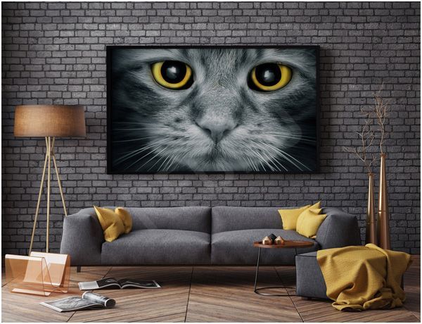 plakaty ze zwierzętami redro