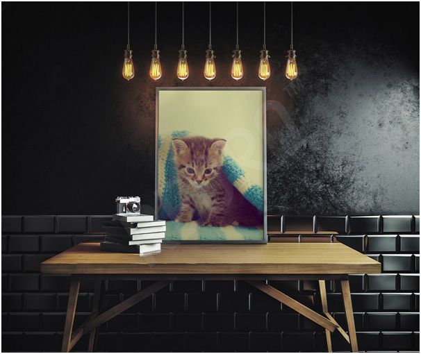 redro plakat z kotem