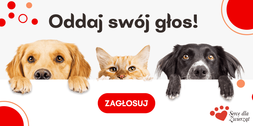 serce-dla-zwierząt-2022-głosowanie.jpg.png