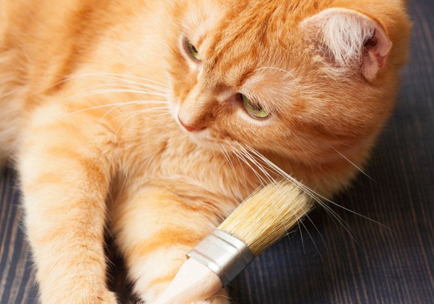 Kot gryzie pędzelek