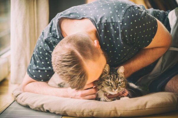 koty są takie same jak my