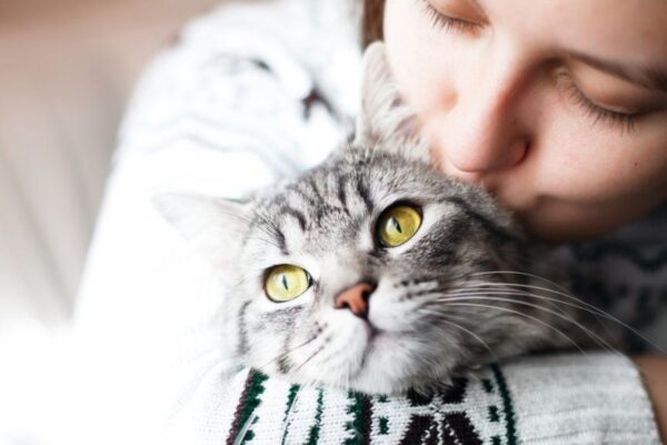 zalety posiadania kota