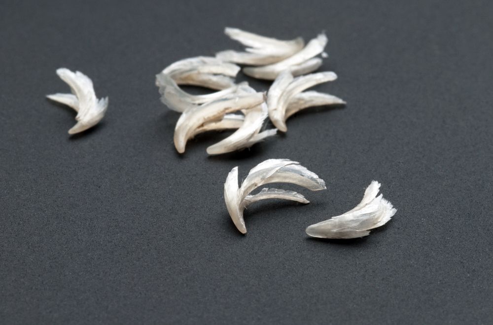 złuszczone warstwy pazurów