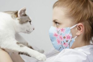 jak koty postrzegają maseczki