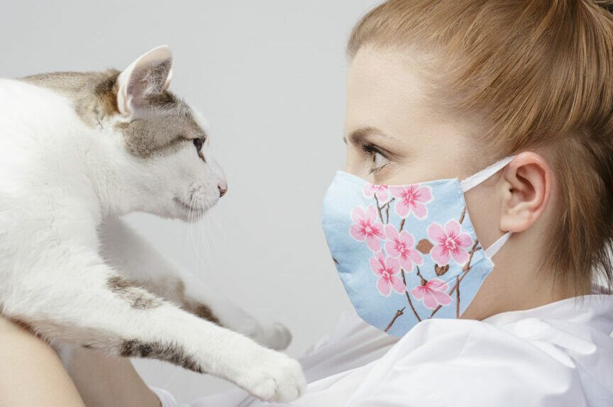 jak koty postrzegają maseczki