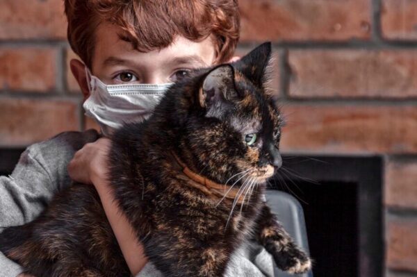 szczepienia przeciw Covid-19 dla kota