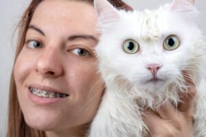 aparat ortodontyczny na zęby kota