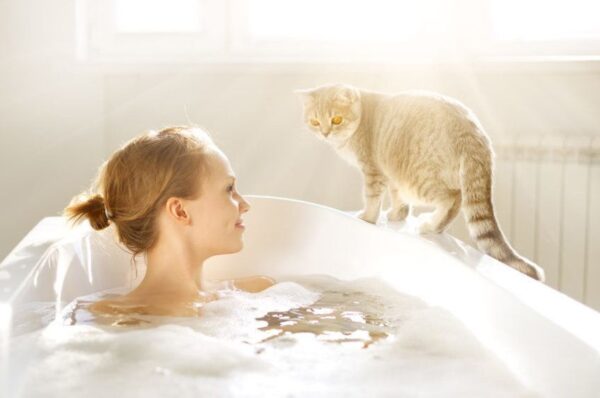 Dlaczego koty nas podglądają