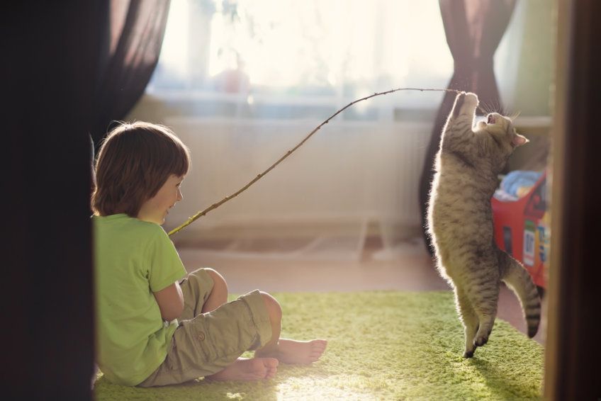 chłopiec bawi się z kotem