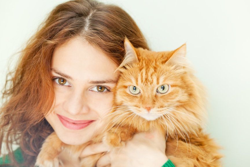 jak to jest być kotem