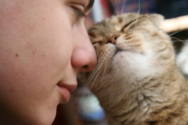 czy warto mieć kota, barankujący kot i człowiek